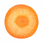 slice of carrot